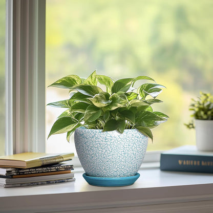 6 Inch Plant Pot - Ceramic Pots for Plants with Drainage Hole and Saucer, Round Succulent Planter Indoor Outdoor, Modern Flower Pot for Snake Plants, Home Decor, Gifts for Plant Lover, Blue