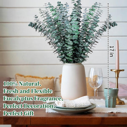 Eslibin 21 Pcs Real Dried Eucalyptus Stems, 17" Natural Fresh Eucalyptus Branches for Shower, Greenery Leaves for Vase Filler, Fragrance, Fresh Silk Dry Live Plants Decor