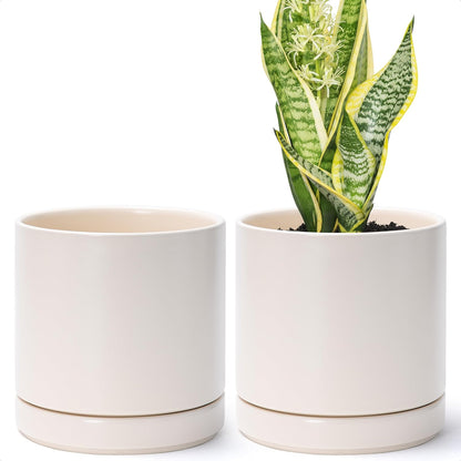 D'vine Dev Set of 2 Plants Pots, 6.5 Inch Ceramic Planter Pot for Plants with Drainage Hole and Saucer, White, 94-V-C-1