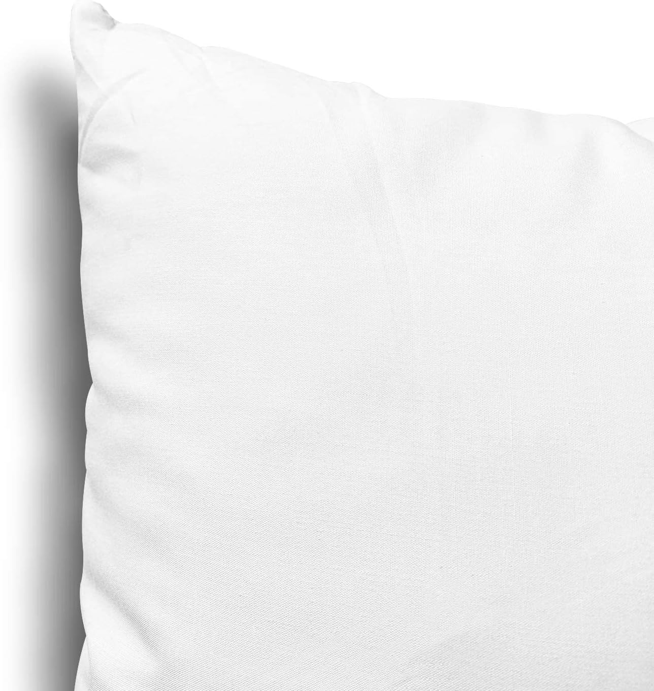 EDOW Throw Pillow Inserts, Set of 2 Lightweight Down Alternative Polyester Pillow, Couch Cushion, Sham Stuffer, Machine Washable. (White, 12x20)