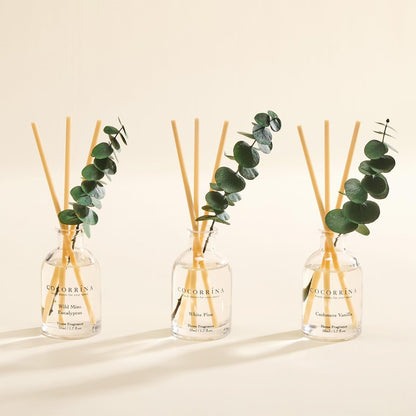 COCORRÍNA Eucalyptus Reed Diffuser Set of 3 - Lavender Eucalyptus, Black Forest, Clean Cotton Scents, 1.7 fl oz Each, Total 5.1 oz, Scented Oil Diffusers for Home & Office﻿