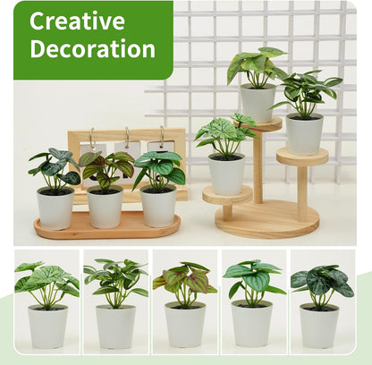 Freyalife 6 Pack Fake Plants for Room Decor,Mini Artificial Potted Plants for Home Office Living Kitchen Classroom Table Shelf Desk Farmhouse Bathroom Indoor Decor