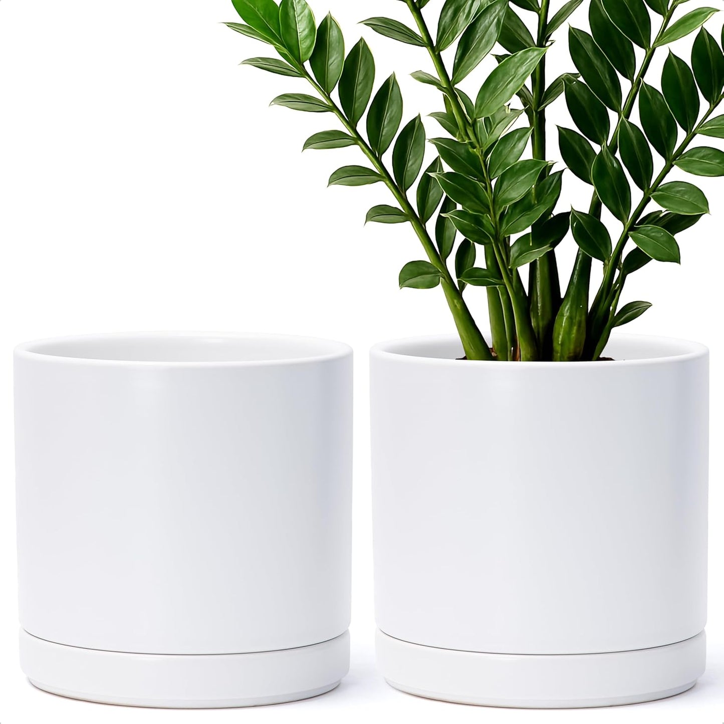 D'vine Dev Set of 2 Plants Pots, 6.5 Inch Ceramic Planter Pot for Plants with Drainage Hole and Saucer, White, 94-V-C-1