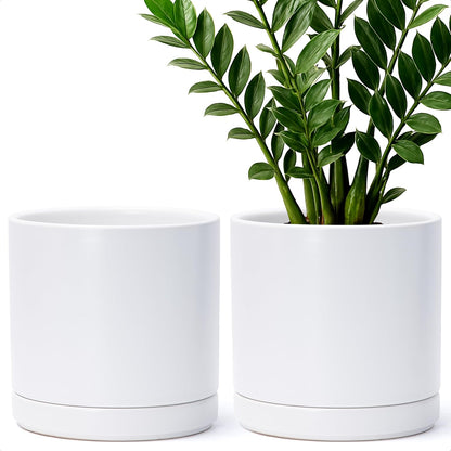 D'vine Dev Set of 2 Plants Pots, 6.5 Inch Ceramic Planter Pot for Plants with Drainage Hole and Saucer, White, 94-V-C-1