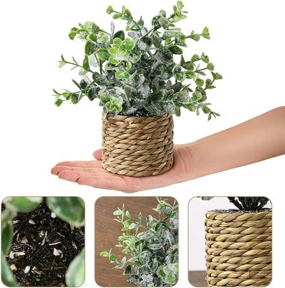 Small Fake Potted Plants: 9 Inches Artificial Plants with Seagrass Handwoven Planters, Indoor Farmhouse Spring Decorations, Eucalyptus Plant for Home Bathroom Office Shelf Tabletop Desk Room Decor