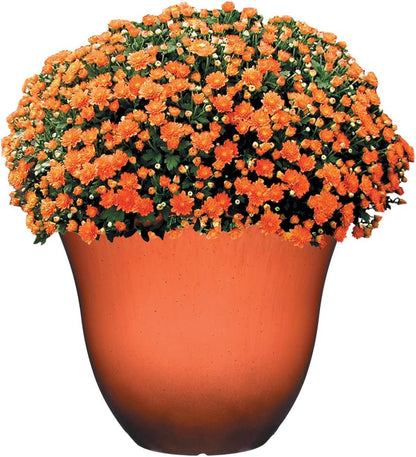 Classic Home and Garden Honeysuckle Resin Planters - Lightweight Indoor & Outdoor Plant Pots - UV-Resistant Plastic Flower Pots - Pot Planters for Flowers & Herbs (15" Distressed Copper)