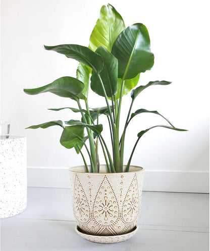 Gepege 6 Inch Beaded Ceramic Planter Set of 2 with Drainage Hole and Saucer for Plants, Indoor-Outdoor Large Round Succulent Orchid Flower Pot (Smoked Gray, Inner-pots not Larger Than 5 Inch)