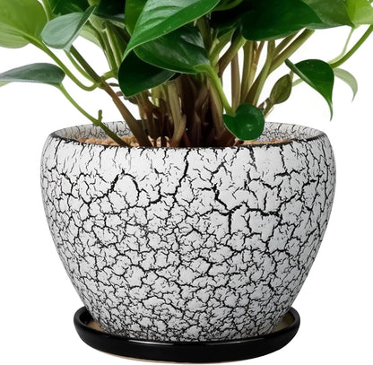 Ceramic Modern Glaze Succulent Planter Pot with Drainage Hole and Saucer 6 Inch Round Flower Plant Pot for Indoor Outdoor Herb Snake Plants