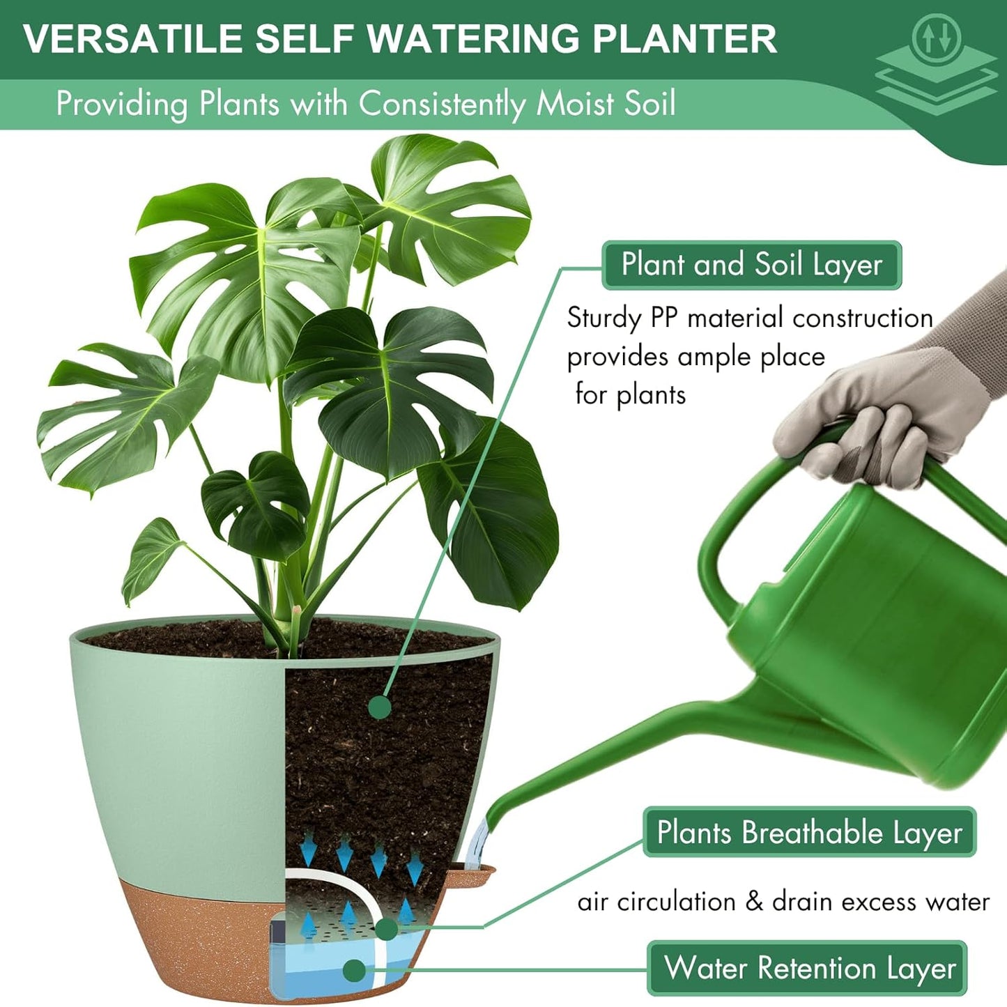 montresor 12/10/8 Inch Self Watering Pots for Indoor Plants Plastic Large Plant Pots for Outdoor Plants, Water Level Window & Spacious Reservoir Flower Pots Decorative Planter with Drainage and Tray