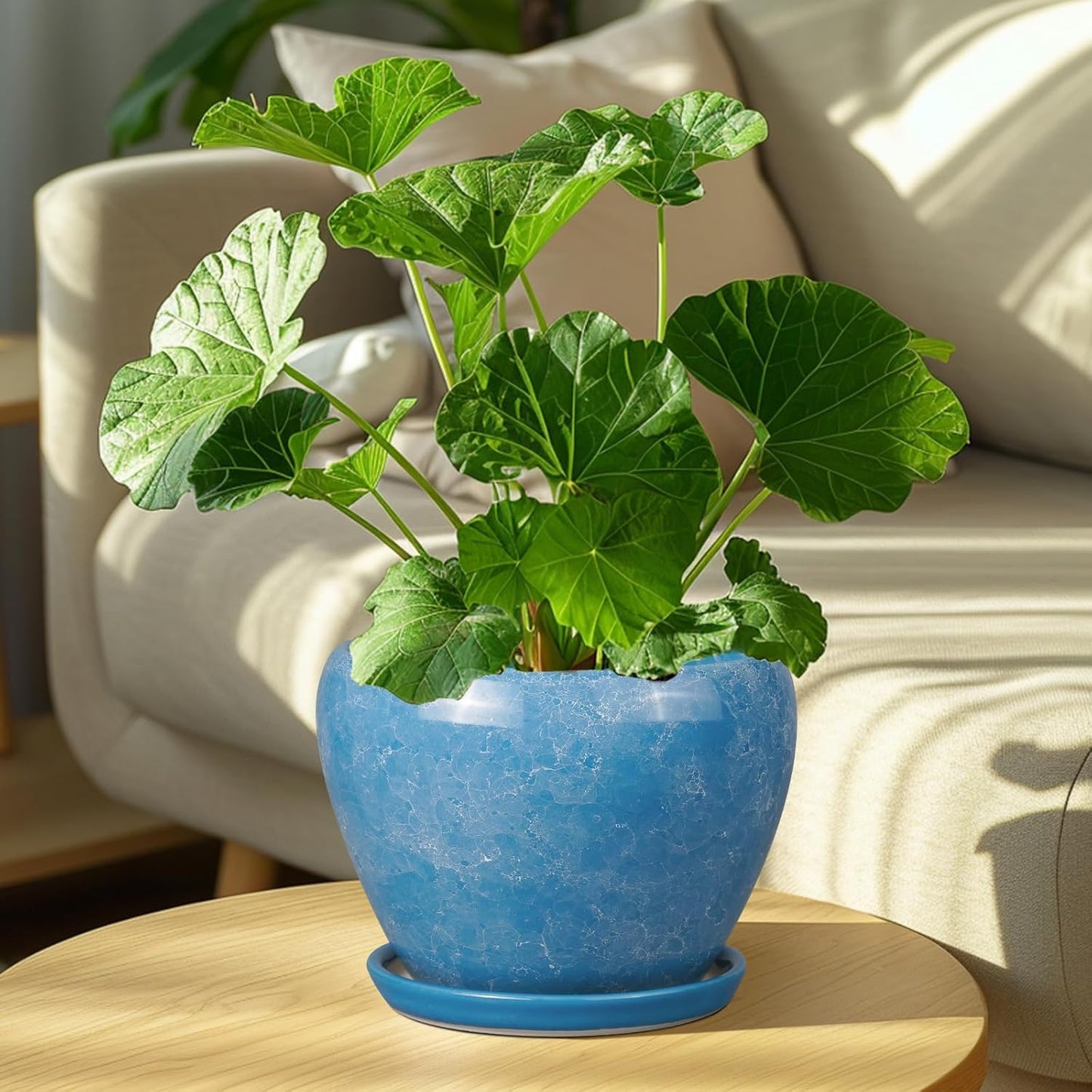 Ceramic Modern Glaze Succulent Planter Pot with Drainage Hole and Saucer 6 Inch Round Flower Plant Pot for Indoor Outdoor Herb Snake Plants