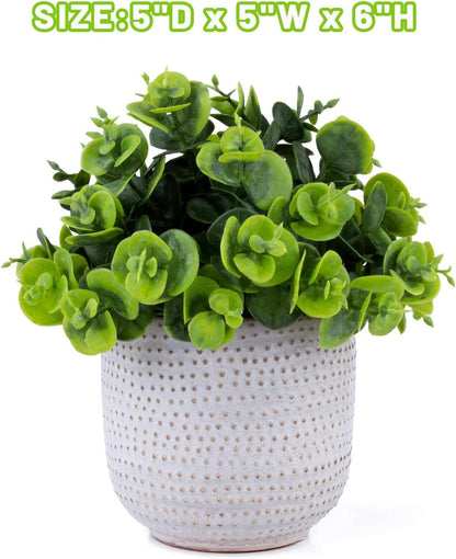 Artificial Plants Succulent Flowers in Ceramic Planter 2 Pack Small Fake Plants Potted for Home Office Desk Decor Farmhouse Living Room Bedroom Shelves Decoration