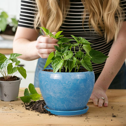 Ceramic Modern Glaze Succulent Planter Pot with Drainage Hole and Saucer 6 Inch Round Flower Plant Pot for Indoor Outdoor Herb Snake Plants