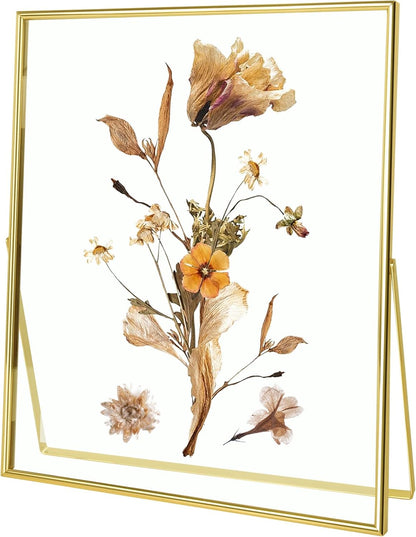 Qiannhee 8x10 Floating Frames Set of 2, Double Glass Desktop Picture Frames, Holds Multiple Photo Sizes, Photo Frame with Metal Stand
