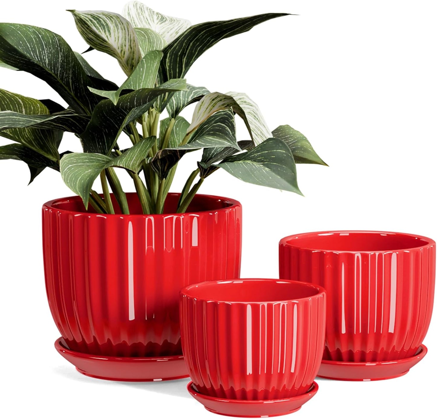 Ton Sin Pink Gold Ceramic Flower Pots, 4"+5"+6" Inch Small Glazed Succulent Planters with Drainage Hole,Modern Indoor Decorative Plant Pots Set of 3,Garden Pots with Saucer