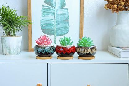 Cute Ceramic Succulent Garden Pots, Planter with Drainage and Attached Saucer, Set of 5 -Plants Not Included (Round)