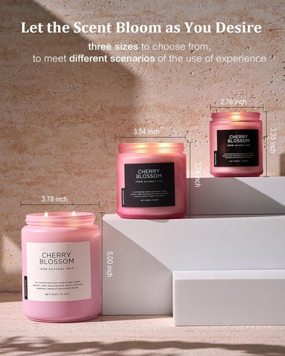 M&SENSE Eucalyptus & Mint Scented Jar Candle, Large 19.4oz Natural Soy Wax, 110-Hour Long Lasting Non-Toxic Clean Burning, Fresh Smelling Home Aromatherapy for Spa Stress Relief, Gifts for Men Women