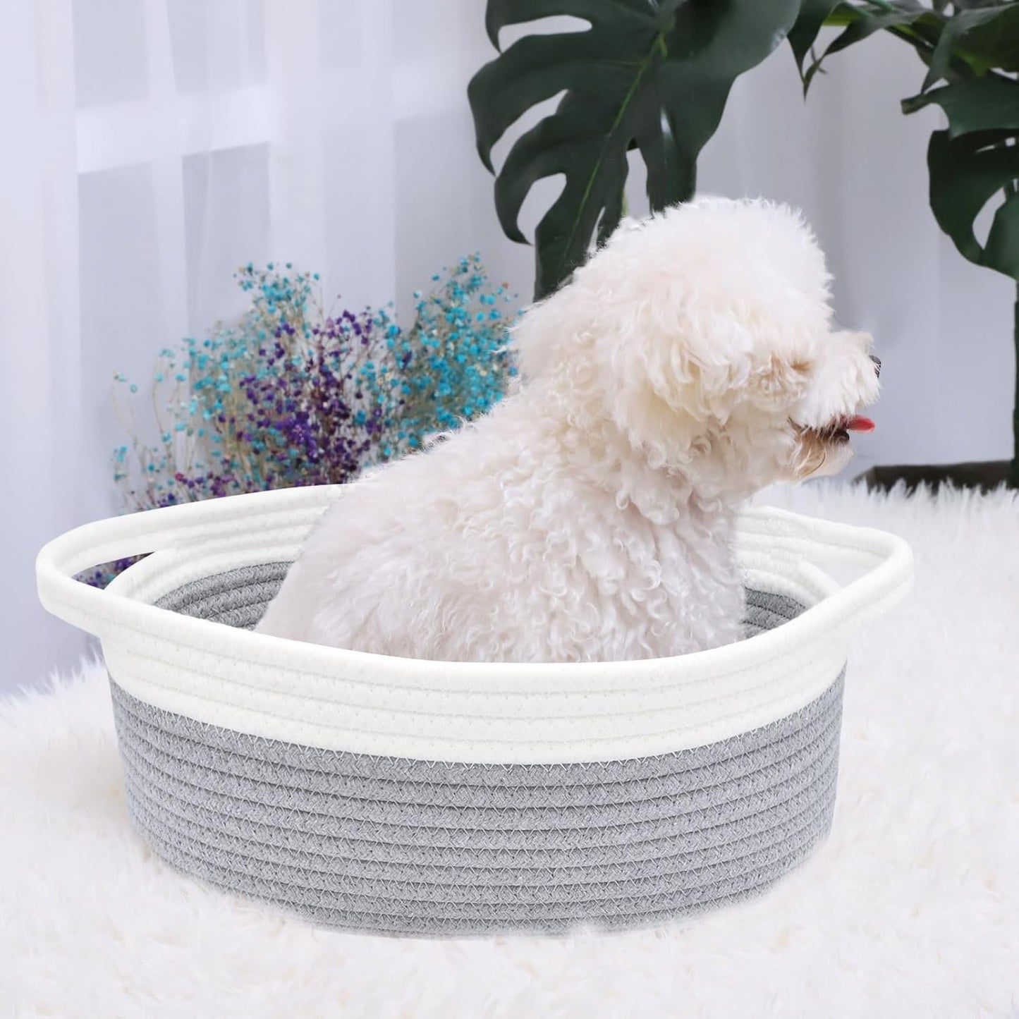ABenkle Small Basket with Handles, Boho Decorative Rope Woven Dog Cat Toy Storage Bin Shelf Storage Organizer, Easter Christmas Gift Basket, 12"x8"x5", White