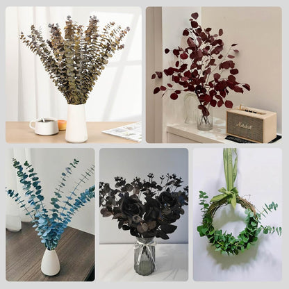 Tavkite 16 Pcs Dried Eucalyptus Stems, 17'' Natural Fresh Eucalyptus Leaves Branches Hanging for Shower, Preserved Real Plant Live Greenery for Home SPA Wall Bathroom Wedding Party Vase Decor