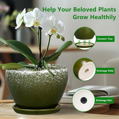 Ceramic Modern Glaze Succulent Planter Pot with Drainage Hole and Saucer 6 Inch Round Flower Plant Pot for Indoor Outdoor Herb Snake Plants