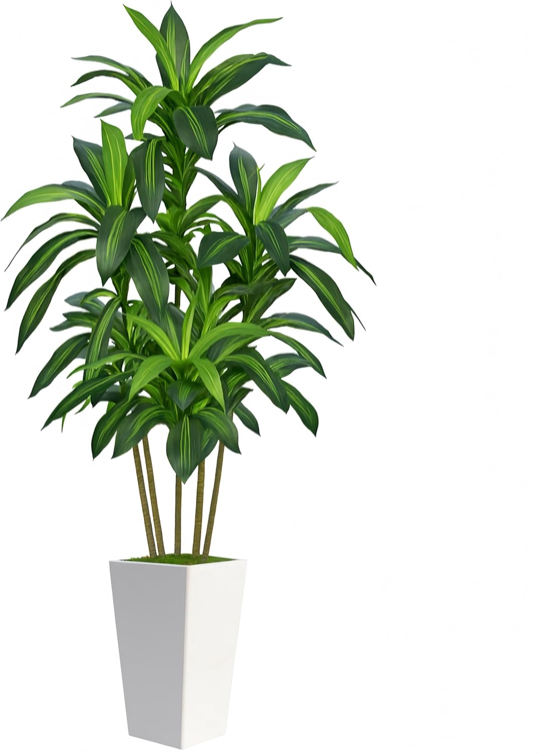 6FT Artificial Dracaena Tree, Fake Tree Indoor with White Tall Planter,Tall Artificial Plants Indoor,Artificial Silk Tree for Home Office Decor (White)