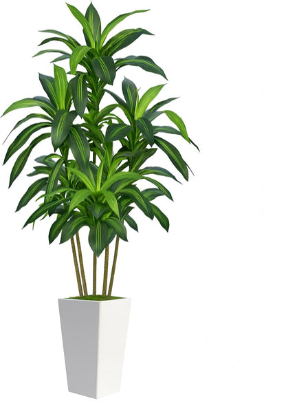 6FT Artificial Dracaena Tree, Fake Tree Indoor with White Tall Planter,Tall Artificial Plants Indoor,Artificial Silk Tree for Home Office Decor (White)