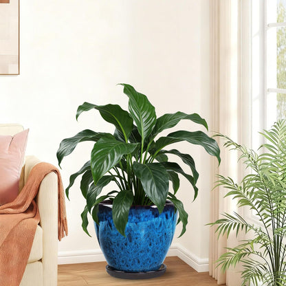 Ceramic Plant Pots with Saucer, 6 inch Glaze Planters for Indoor Plants with Drainage Holes, Decorative Small Flower Pots Outdoor, Modern Succulent Pots for Home Room Decor
