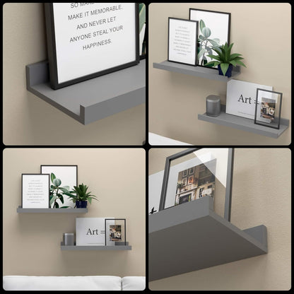 Boswillon Floating Shelves Wall Mounted Set of 2, Modern Black Wall Shelves for Storage with Lip, Display Picture Ledge Shelf for Wall Decor Bedroom Living Room Bathroom Kitchen