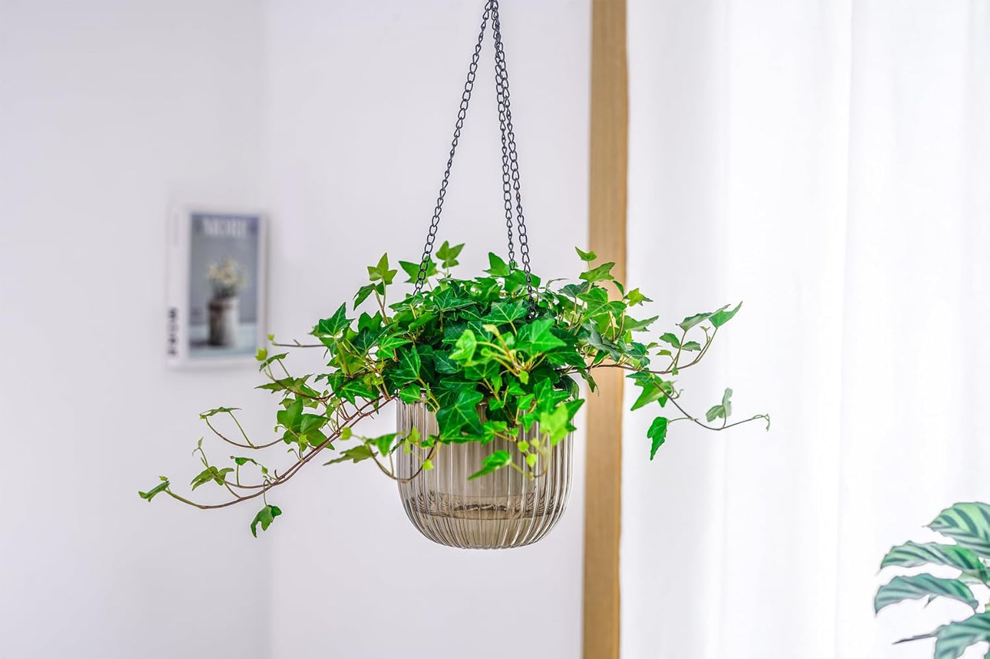 Melphoe 2 Pack Self Watering Hanging Planters Indoor Flower Pots, 6.5 Inch Outdoor Hanging Basket, Plant Hanger with 3Hooks Drainage Holes for Garden Home (Emerald)