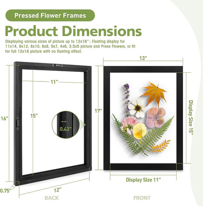 Golden State Art, 11X14 Floating Picture Frame, Black Wood Frame Display Any Size Photo Up To 11X14, Pressed Flower Frames with Hanging Hardware - Horizontal And Vertical Formats for Wall