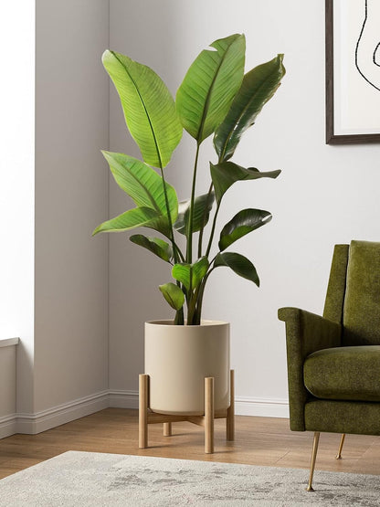 LE TAUCI 12 Inch Pot for Plants, Ceramic Planters for Indoor Plants, Mid-Century Modern Cylinder Flower Pots with Drainage Hole, Fits Fiddle Leaf Fig & Monstera, Home Decor, White