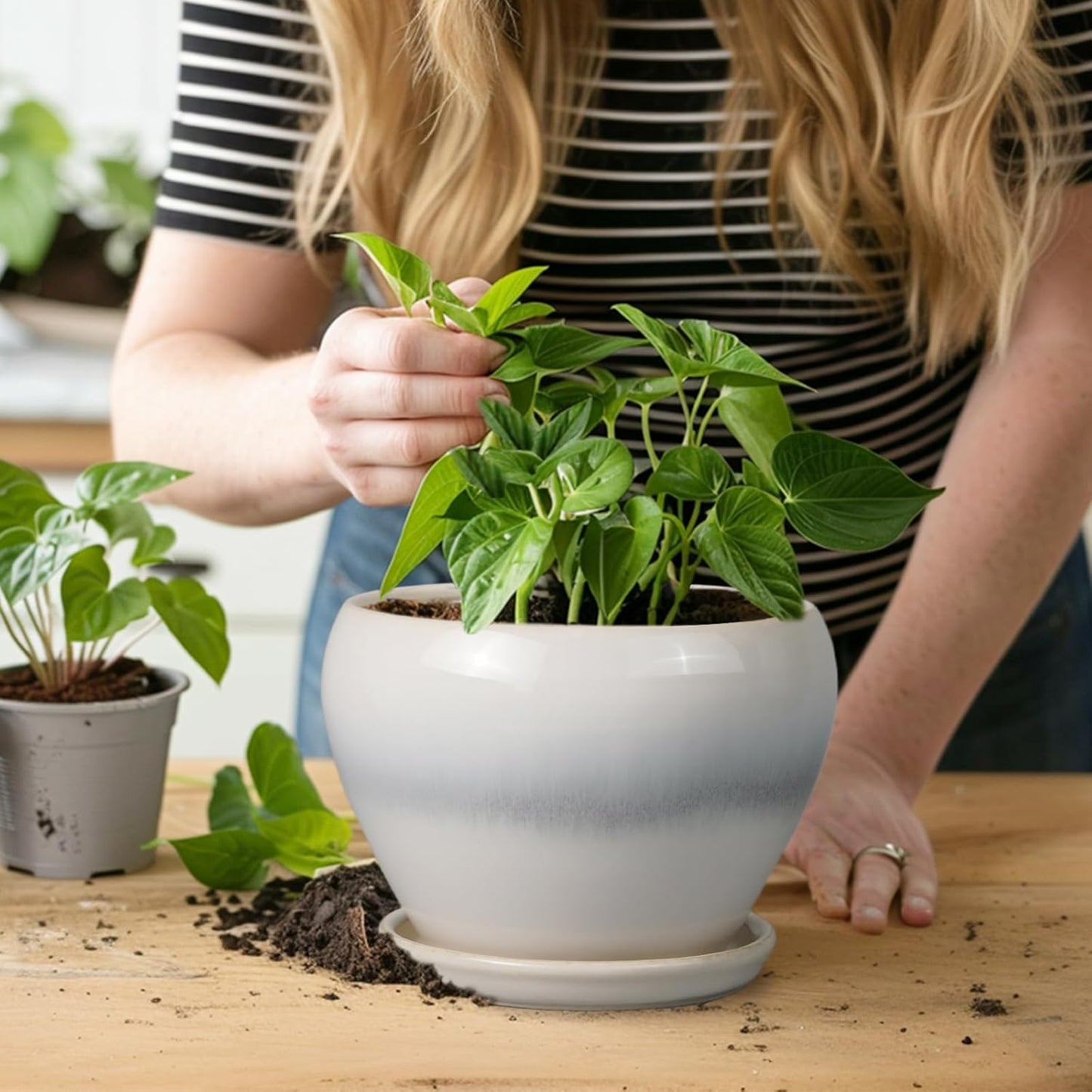 Ceramic Modern Glaze Succulent Planter Pot with Drainage Hole and Saucer 6 Inch Round Flower Plant Pot for Indoor Outdoor Herb Snake Plants