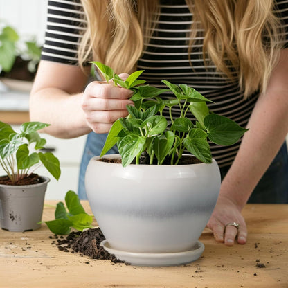 Ceramic Modern Glaze Succulent Planter Pot with Drainage Hole and Saucer 6 Inch Round Flower Plant Pot for Indoor Outdoor Herb Snake Plants