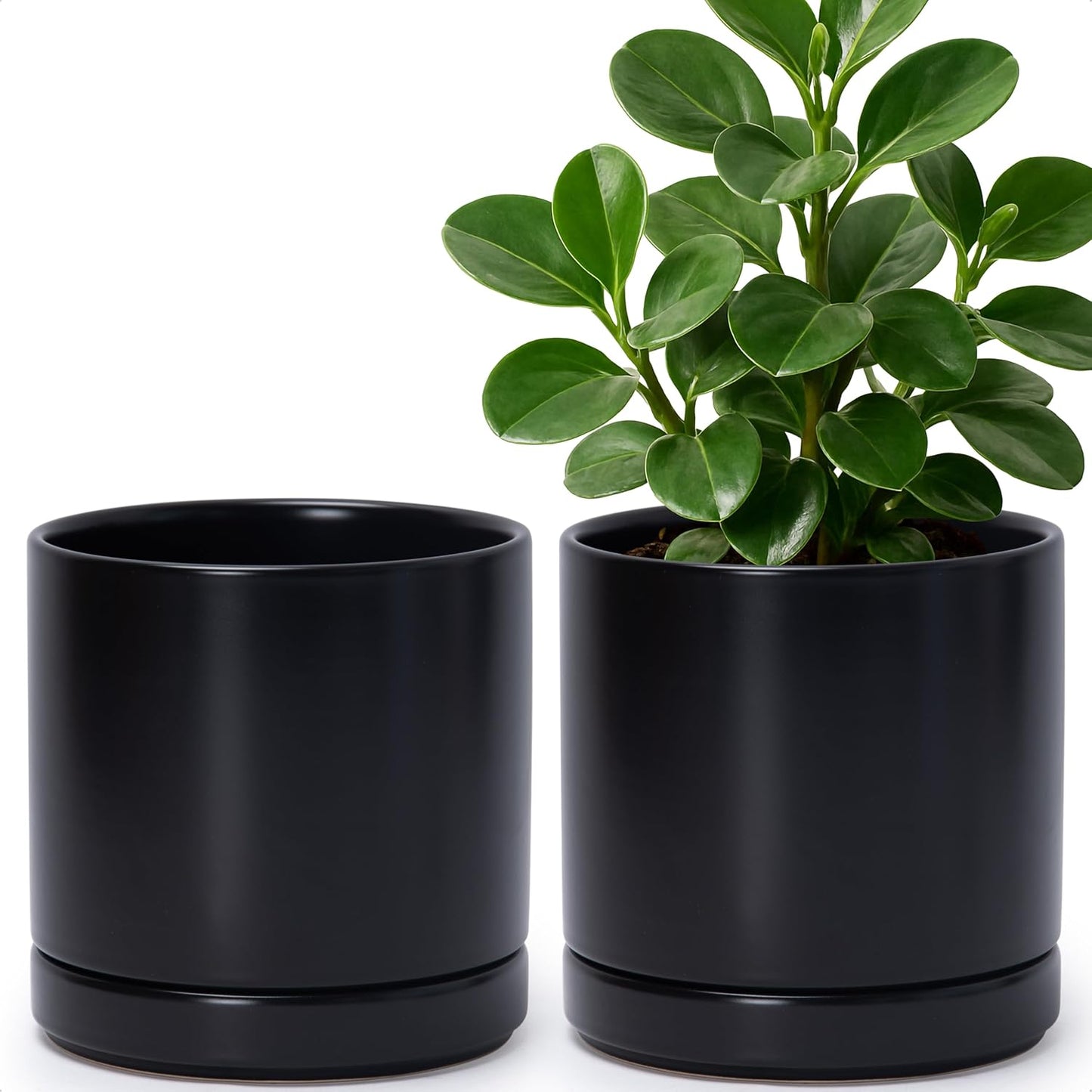D'vine Dev Set of 2 Plants Pots, 6.5 Inch Ceramic Planter Pot for Plants with Drainage Hole and Saucer, White, 94-V-C-1