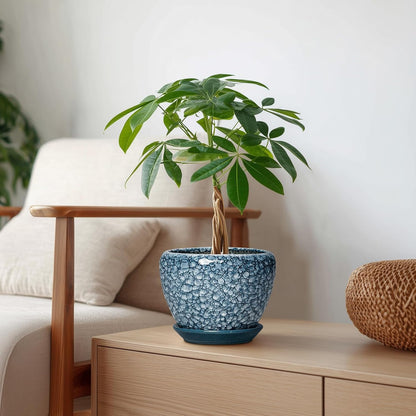 6 Inch Plant Pot - Ceramic Pots for Plants with Drainage Hole and Saucer, Round Succulent Planter Indoor Outdoor, Modern Flower Pot for Snake Plants, Home Decor, Gifts for Plant Lover, Blue