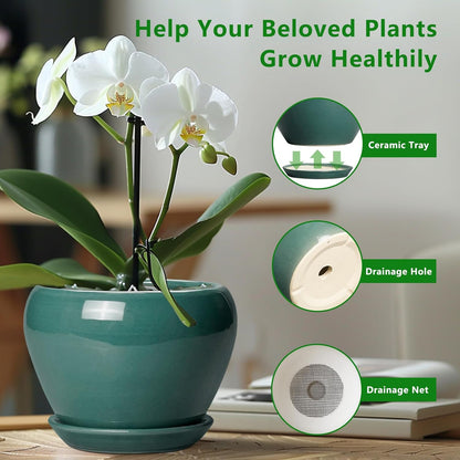 Ceramic Modern Glaze Succulent Planter Pot with Drainage Hole and Saucer 6 Inch Round Flower Plant Pot for Indoor Outdoor Herb Snake Plants