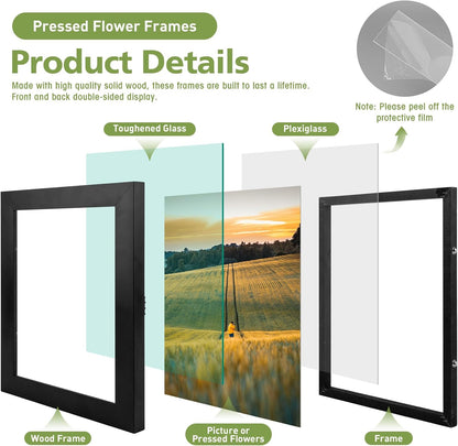 Golden State Art, 11X14 Floating Picture Frame, Black Wood Frame Display Any Size Photo Up To 11X14, Pressed Flower Frames with Hanging Hardware - Horizontal And Vertical Formats for Wall
