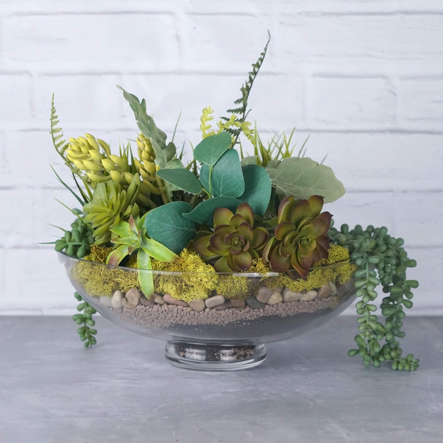 CYS EXCEL Glass Small Decorative Footed Bowl (H:3" D:8") Fruit Display Terrarium Compote Pedestal Vase Kitchen Table Centerpiece