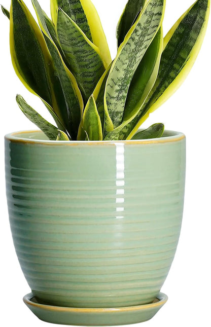 Ceramic Pots for Plants - 6 Inch Plant Pot with Drainage Hole and Saucer, Round Planters for Indoor Outdoor, Flower Pots, Modern Planter, Home Office Room Decor, Gifts for Plant Lovers, White