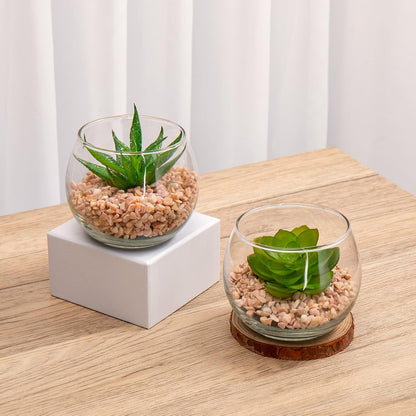 Briful Mini Fake Plants 4 Packs Succuletns Artificial Potted Plants in Cube Glass Vase Faux Succulents for Bathroom Living Room Kitchen Shelf Table Decor