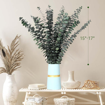 40 Pcs Dried Eucalyptus Stems for Shower, 17'' Natural Real Live Eucalyptus Leaves Branches Hanging Shower Plant for SPA Home Fragrance Bathroom Table Vase Decor