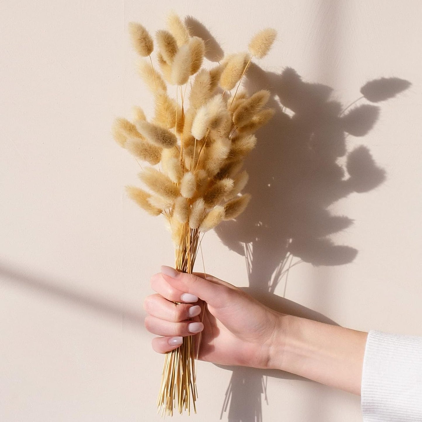 40" inch 10 Stems Pampas Grass Decor Tall, Pampas Grass Bouquet, Natural Dried Flowers for Wedding, Natural Home Decor, Wall Grass, Glam Decor