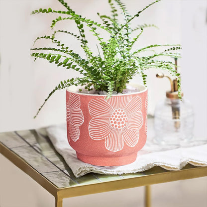 YBX 8 Inch + 6 Inch Ceramic Plant Pots, Succulent Flower Pots with Drainage Holes, Terracotta Planters for Indoor Plants, White&Terracotta (Garden)