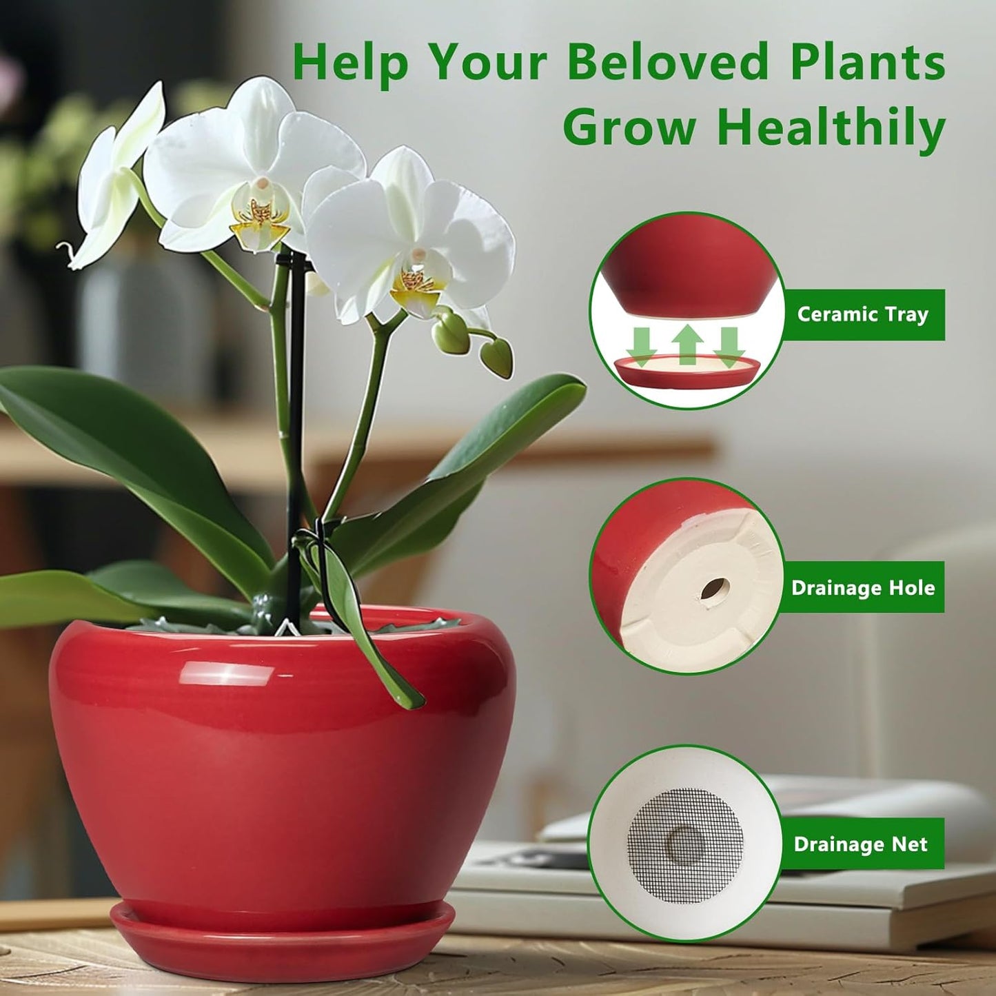 Ceramic Modern Glaze Succulent Planter Pot with Drainage Hole and Saucer 6 Inch Round Flower Plant Pot for Indoor Outdoor Herb Snake Plants