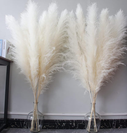 46" inch 10 Stems Natural Pampas Grass Decor Tall, Pompas Grass, Tall Pampas Grass for Weddingm, Farmhouse, Boho Home Decor (Beige)