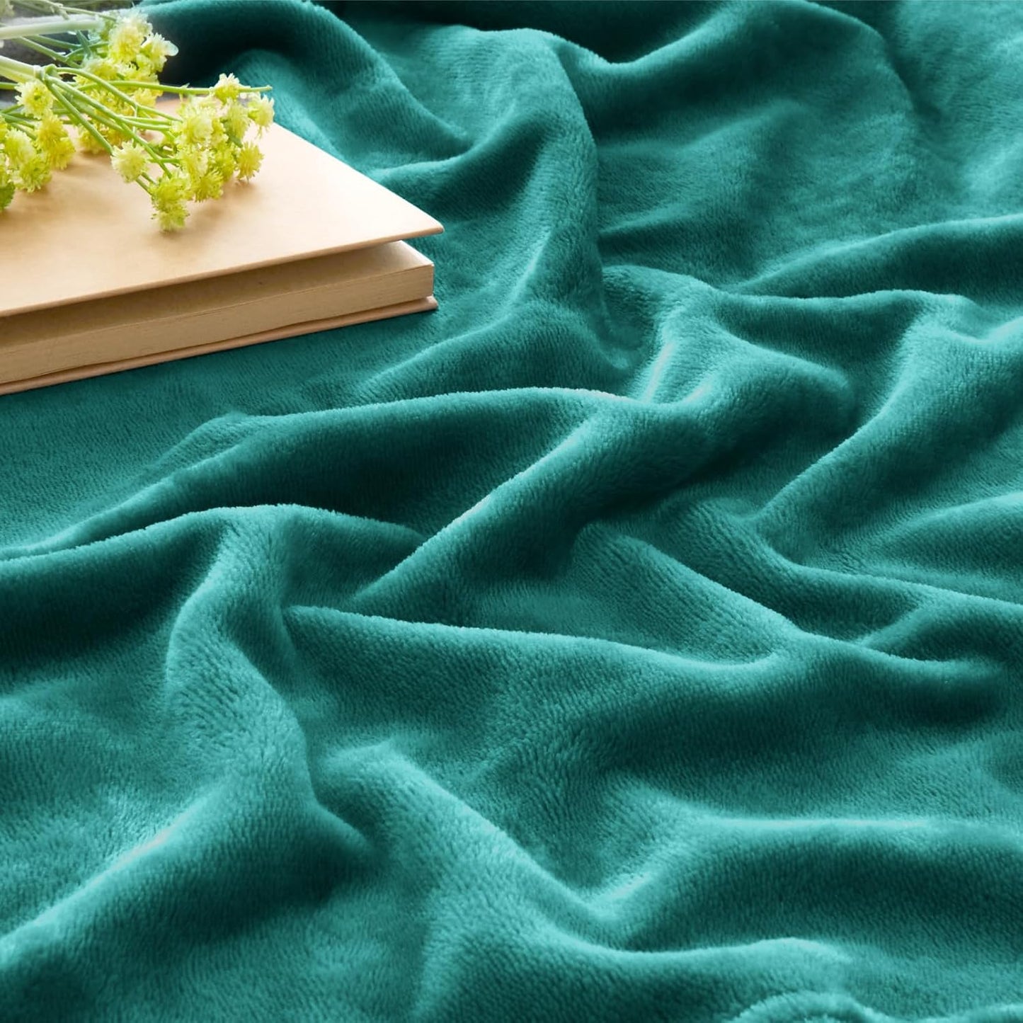 BEDELITE Fleece Blanket Black Throw Blankets for Couch & Bed, Luxury Plush Cozy Fuzzy Blanket 50x60 inches, Super Soft Warm Lightweight Throw Blanket for Travel Camping - Colors B