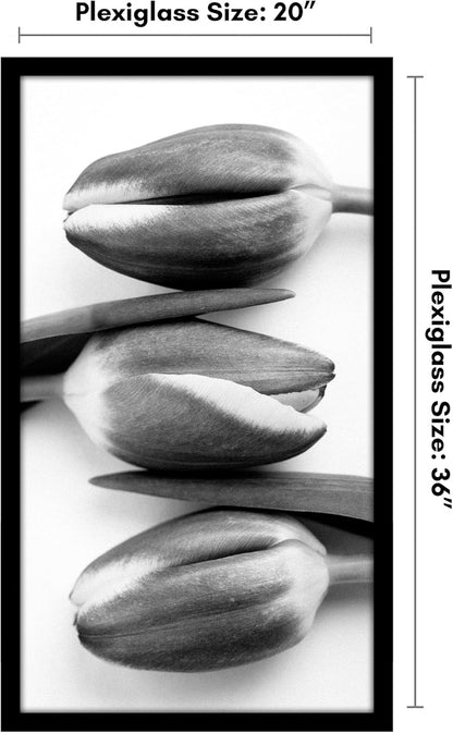 Americanflat 16x20 Picture Frame with Polished Plexiglass - Black Picture Frame - Wide Photo Frames Made of Engineered Wood for Vertical or Horizontal Wall Display - Epic Collection - Black - Colors A