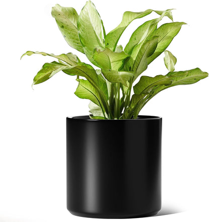 LE TAUCI 12 Inch Pot for Plants, Ceramic Planters for Indoor Plants, Mid-Century Modern Cylinder Flower Pots with Drainage Hole, Fits Fiddle Leaf Fig & Monstera, Home Decor, White