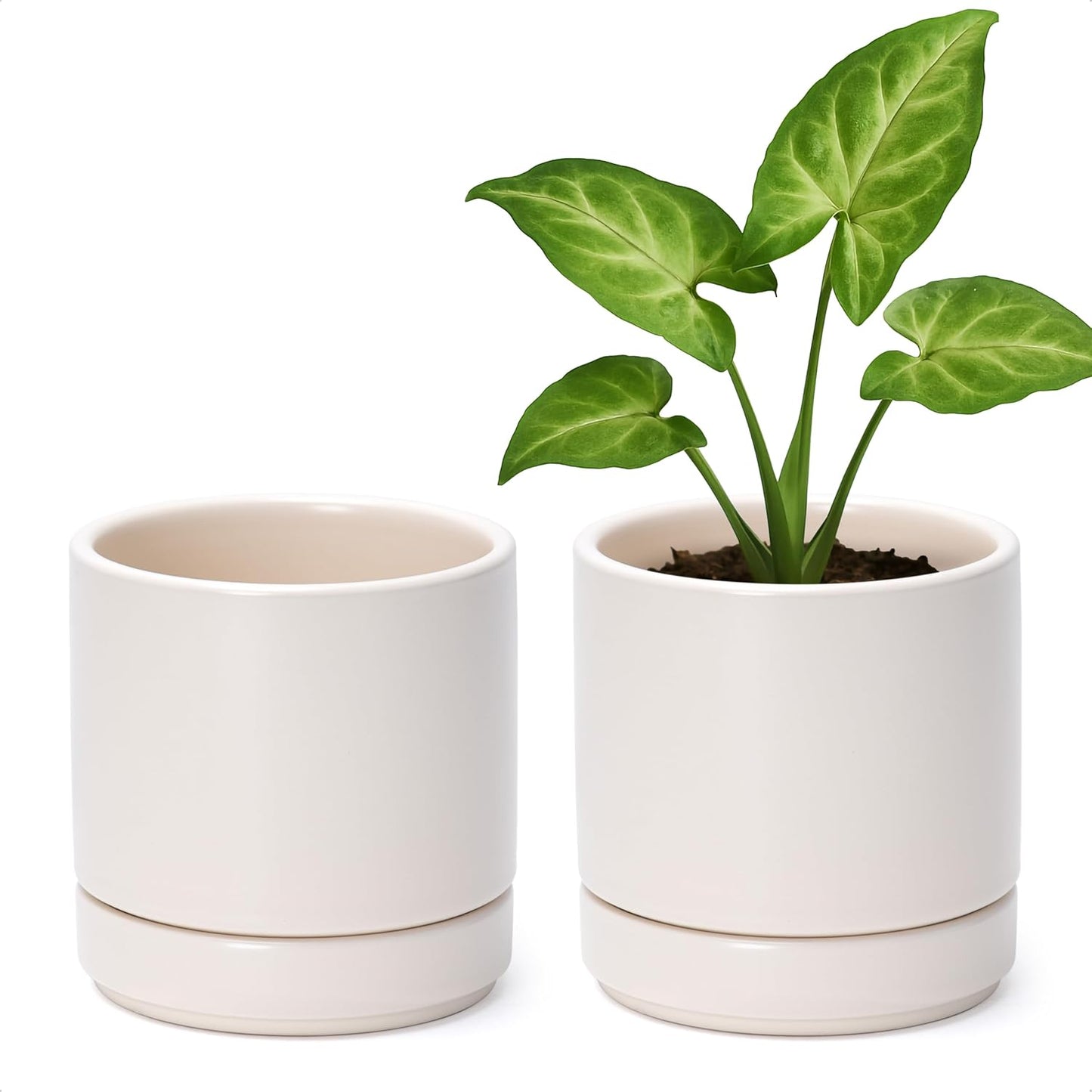 D'vine Dev Set of 2 Plants Pots, 6.5 Inch Ceramic Planter Pot for Plants with Drainage Hole and Saucer, White, 94-V-C-1