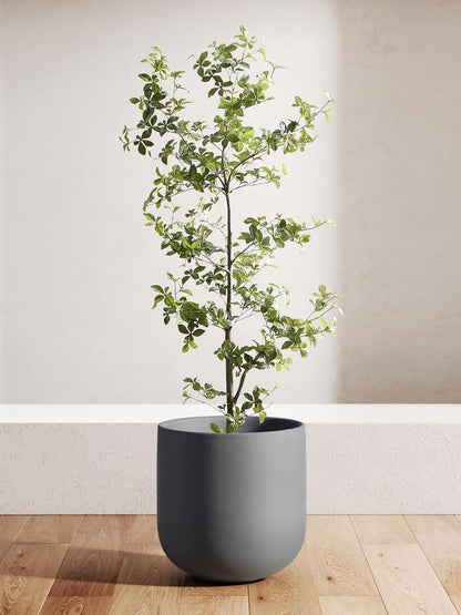 LE TAUCI 12 Inch Pots for Plants, Ceramic Large Planters for Indoor Plants, Indoor Plant Pots for Home Garden Patio Office, Planter Pots with Drainage Hole and Rubber Plug, Neutral Gray