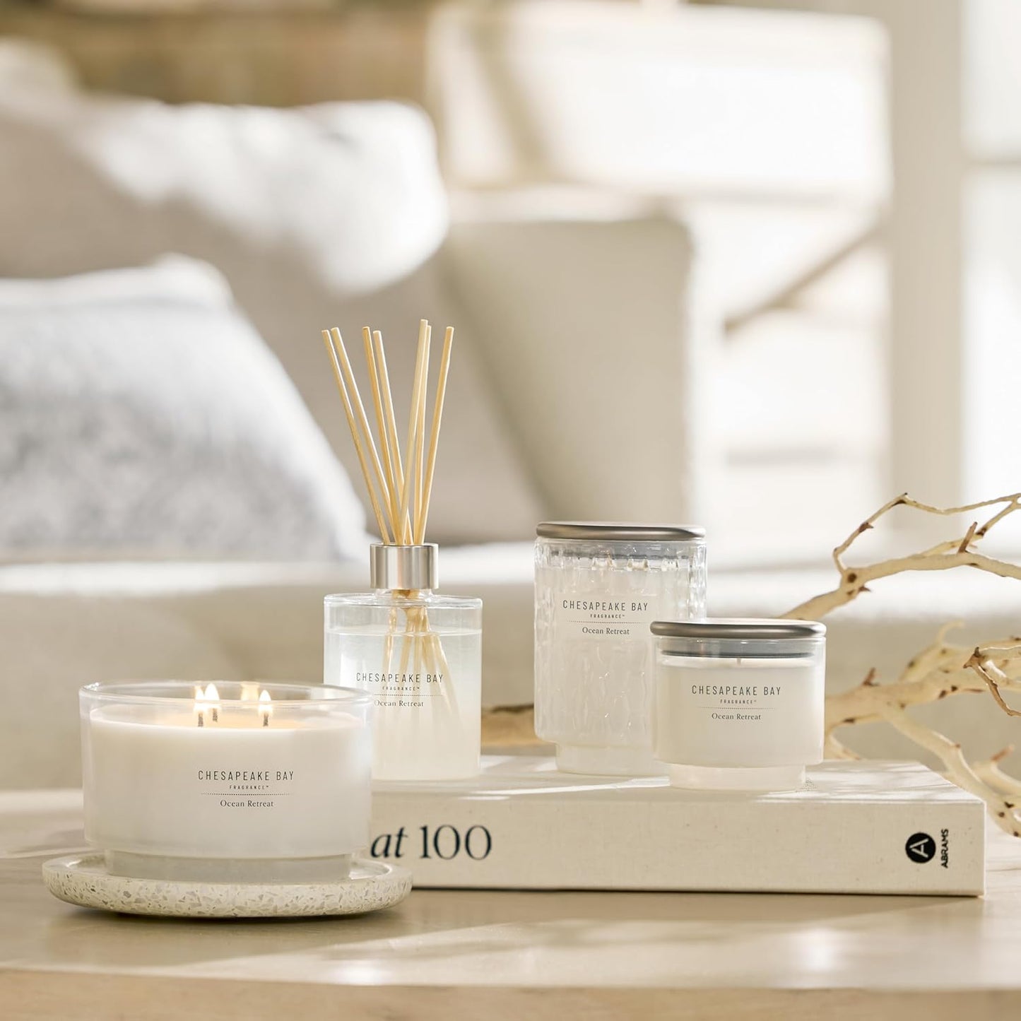 Chesapeake Bay, 11oz Marine Drift Scented Candle, Mood Evoking Fragrance, Textured Sea Glass-Inspired Jar, Premium Soy Blend Wax with Essential Oils, Coastal Fragrance for Home Décor or Gifting